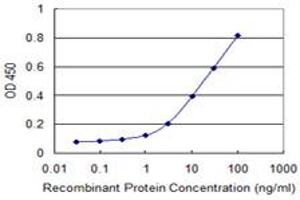 Detection limit for recombinant GST tagged CLTC is 0. (Clathrin Heavy Chain (CLTC) (AA 232-340) antibody)