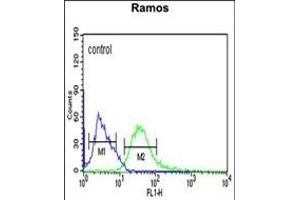 PHGDH Antibody (Center) (ABIN650767 and ABIN2839544) flow cytometric analysis of Ramos cells (right histogram) compared to a negative control cell (left histogram). (PHGDH antibody  (AA 249-277))