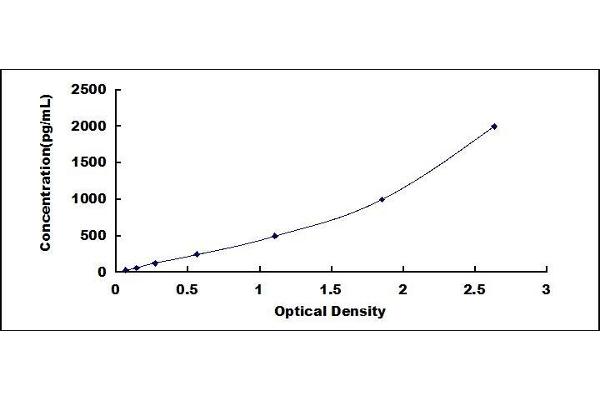 Peroxiredoxin 2 ELISA Kit