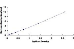 Typical standard curve (Retinoic Acid Receptor gamma ELISA Kit)