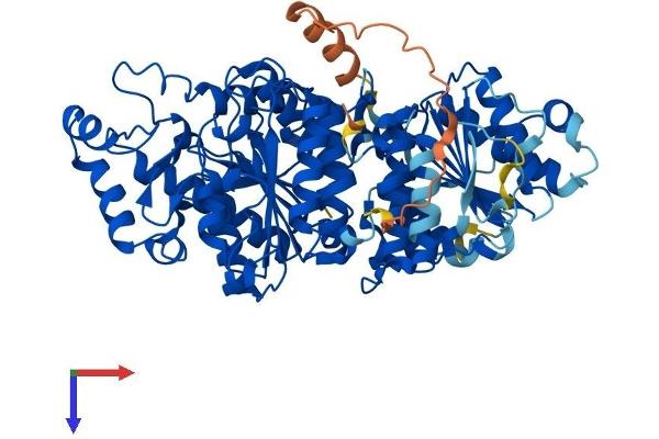 HDAC10 Protein (AA 1-666) (His tag)