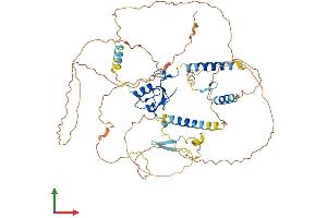 AlphaFold protein structure predicition of Human Recombinant RNF220 Protein, UniprotID Q5VTB9