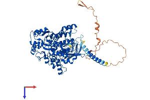 AlphaFold protein structure predicition of Human Recombinant MTMR6 Protein, UniprotID Q9Y217