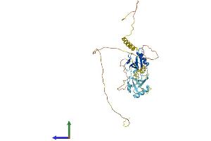 AlphaFold protein structure predicition of Human Recombinant DCX Protein, UniprotID O43602 (Doublecortin Protein (DCX) (AA 1-365) (His tag))