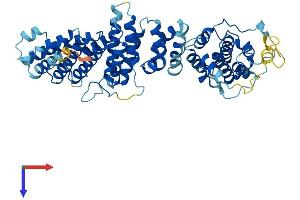 AlphaFold protein structure predicition of Mouse Recombinant Noc4l Protein, UniprotID Q8BHY2 (NOC4L Protein (AA 1-516) (His tag))