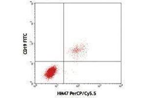 Flow Cytometry (FACS) image for anti-B-cell antigen receptor complex-associated protein alpha chain (CD79A) antibody (PerCP-Cy5.5) (ABIN2660409) (CD79a antibody  (PerCP-Cy5.5))