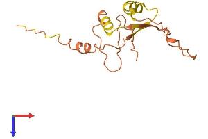 AlphaFold protein structure predicition of Human Recombinant C5orf63 Protein, UniprotID A6NC05 (C5ORF63 Protein (AA 1-138) (His tag))