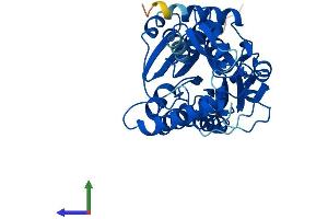 AlphaFold protein structure predicition of Human Recombinant HSD3B7 Protein, UniprotID Q9H2F3