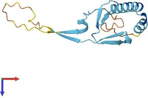 AlphaFold protein structure predicition of Human Recombinant TPT1P8 Protein, UniprotID Q9HAU6
