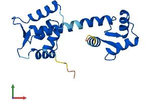 AlphaFold protein structure predicition of Mouse Recombinant Cetn4 Protein, UniprotID Q8K4K1