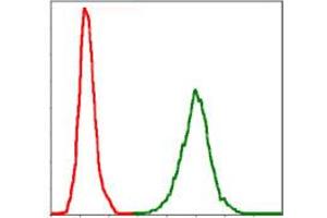 Flow Cytometry (FACS) image for anti-Neurofilament, Light Polypeptide (NEFL) antibody (ABIN1108416)
