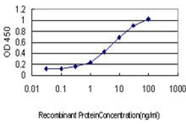 PDCD11 antibody  (AA 1-110)