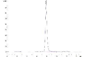 The purity of Mouse PLD4 is greater than 95 % as determined by SEC-HPLC. (Phospholipase D4 Protein (PLD4) (AA 58-503) (His tag))
