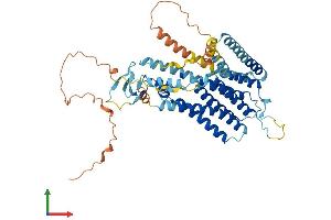 AlphaFold protein structure predicition of Mouse Recombinant Tmem39a Protein, UniprotID Q9CYC3