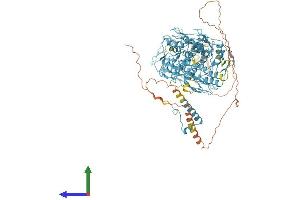 AlphaFold protein structure predicition of Human Recombinant ZNF808 Protein, UniprotID Q8N4W9 (ZNF808 Protein (AA 1-903) (His tag))