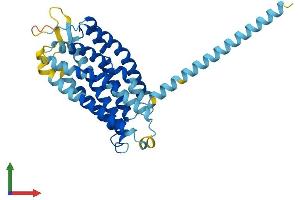 AlphaFold protein structure predicition of Human Recombinant LPAR6 Protein, UniprotID P43657
