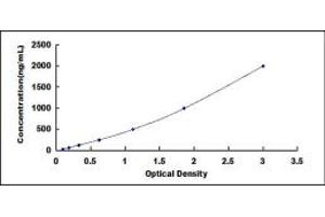 Image no. 1 for Apolipoprotein A-I (APOA1) ELISA Kit (ABIN1874284)