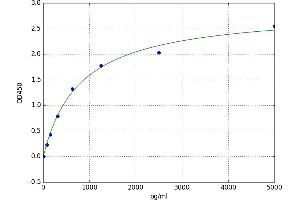 Inositol Polyphosphate-5-Phosphatase, 145kDa (INPP5D) ELISA Kit