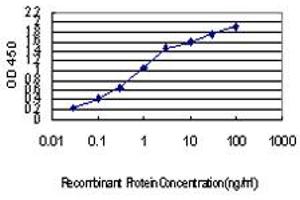 Detection limit for recombinant GST tagged IRX5 is approximately 0. (IRX5 antibody  (AA 204-264))