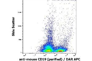 Flow cytometry surface staining pattern of murine splenocyte suspension stained using anti-mouse CD19 (1D3) purified antibody (concentration in sample 0,6 μg/mL) DAR APC.