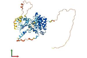 AlphaFold protein structure predicition of Human Recombinant ARHGAP8 Protein, UniprotID P85298