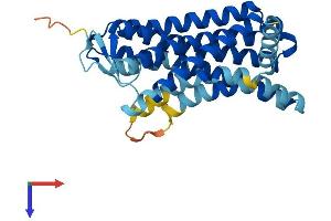 Olfactory Receptor, Family 1, Subfamily J, Member 4 (OR1J4) (AA 1-313) protein (His tag)