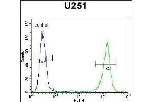 GA1 Antibody (N-term) (ABIN654679 and ABIN2844373) flow cytometric analysis of  cells (right histogram) comred to a negative control cell (left histogram). (GPAA1 antibody  (N-Term))