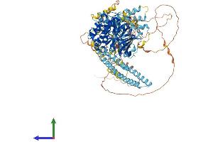AlphaFold protein structure predicition of Mouse Recombinant Pkn2 Protein, UniprotID Q8BWW9