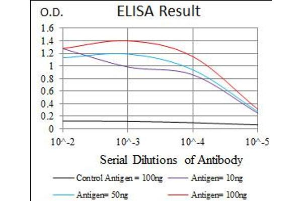 HAS3 antibody  (AA 312-364)