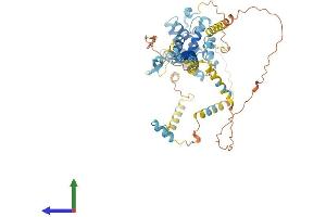 AlphaFold protein structure predicition of Human Recombinant FAM227A Protein, UniprotID F5H4B4 (LOC646851 Protein (AA 1-570) (His tag))