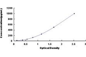 Typical standard curve (FGF13 ELISA Kit)