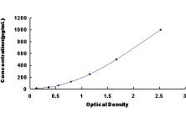 FGF13 ELISA Kit