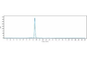 anti-Tumor Necrosis Factor (Ligand) Superfamily, Member 13 (TNFSF13) antibody
