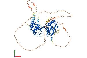 AlphaFold protein structure predicition of Mouse Recombinant Smad6 Protein, UniprotID O35182