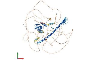 AlphaFold protein structure predicition of Human Recombinant BACH2 Protein, UniprotID Q9BYV9