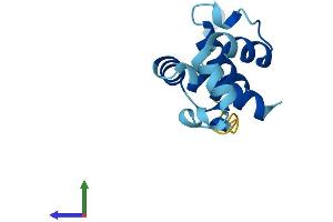AlphaFold protein structure predicition of Mouse Recombinant Cnfn Protein, UniprotID Q6PCW6 (Cornifelin (CNFN) (AA 1-111) protein (His tag))
