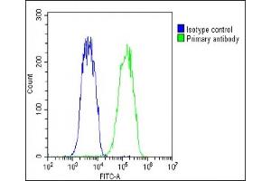 Overlay histogram showing Hela cells stained with (ABIN1537893 and ABIN2848739)(green line). (VDAC3 antibody  (AA 156-183))