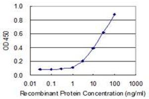 Detection limit for recombinant GST tagged WDR41 is 1 ng/ml as a capture antibody. (WDR41 antibody  (AA 1-459))