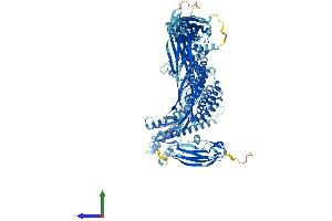 Protein Structure (PS) image for Trafficking Protein Particle Complex 11 (TRAPPC11) (AA 1-1133) protein (His tag) (ABIN7562064)
