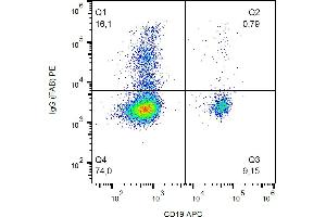 Flow cytometry analysis (surface staining) of human peripheral blood cells with anti-human IgG Fab fragment (4A11) PE. (Mouse anti-Human IgG (Fab Region) Antibody (PE))