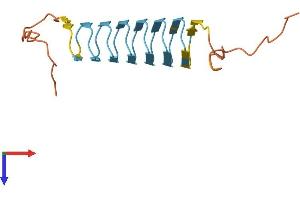 Keratin Associated Protein 4-3 (KRTAP4-3) (AA 1-195) protein (His tag)