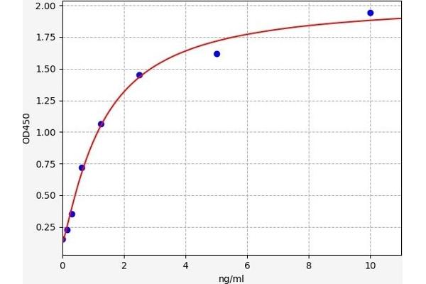 Lamin A/C ELISA Kit
