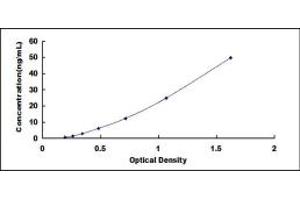 SLC5A2 ELISA Kit