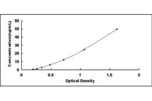 Typical standard curve (SLC5A2 ELISA Kit)