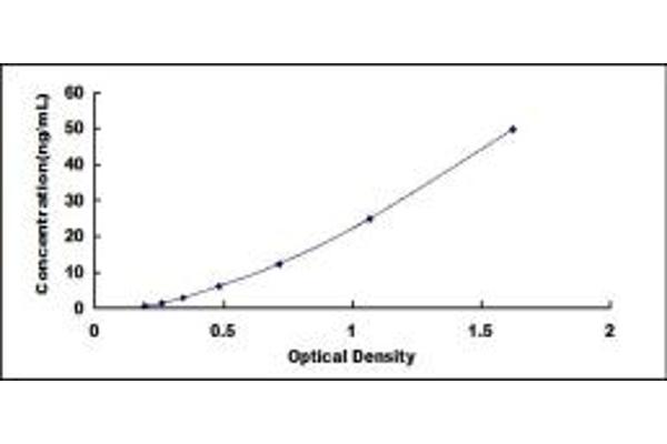 SLC5A2 ELISA Kit
