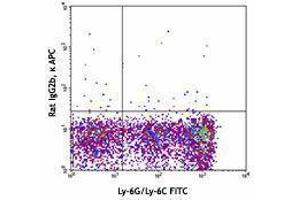 Flow Cytometry (FACS) image for anti-Complement Component 5a Receptor 1 (C5AR1) antibody (APC) (ABIN2658284) (C5AR1 antibody  (APC))