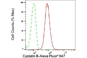 Flow cytometric analysis of Cystatin B expression in H9c2 cells using Cystatin B antibody (ABIN7798237), 1:2,000). (Recombinant CSTB antibody)