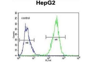 Flow cytometric analysis of HepG2 cells using PPAR-delta Antibody (C-term) Cat. (PPARD antibody  (C-Term))