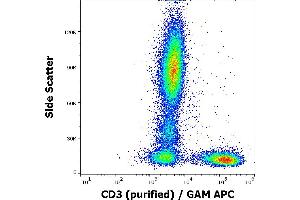 Flow cytometry surface staining pattern of human peripheral whole blood stained using anti-human CD3 (OKT3) purified antibody (concentration in sample 1 μg/mL) GAM APC. (CD3 antibody)