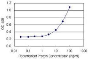 Detection limit for recombinant GST tagged MCM6 is 1 ng/ml as a capture antibody. (MCM6 antibody  (AA 1-821))